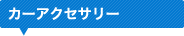 �J�[�A�N�Z�T���[
