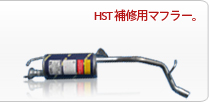 HST �佤�ѥޥե顼��